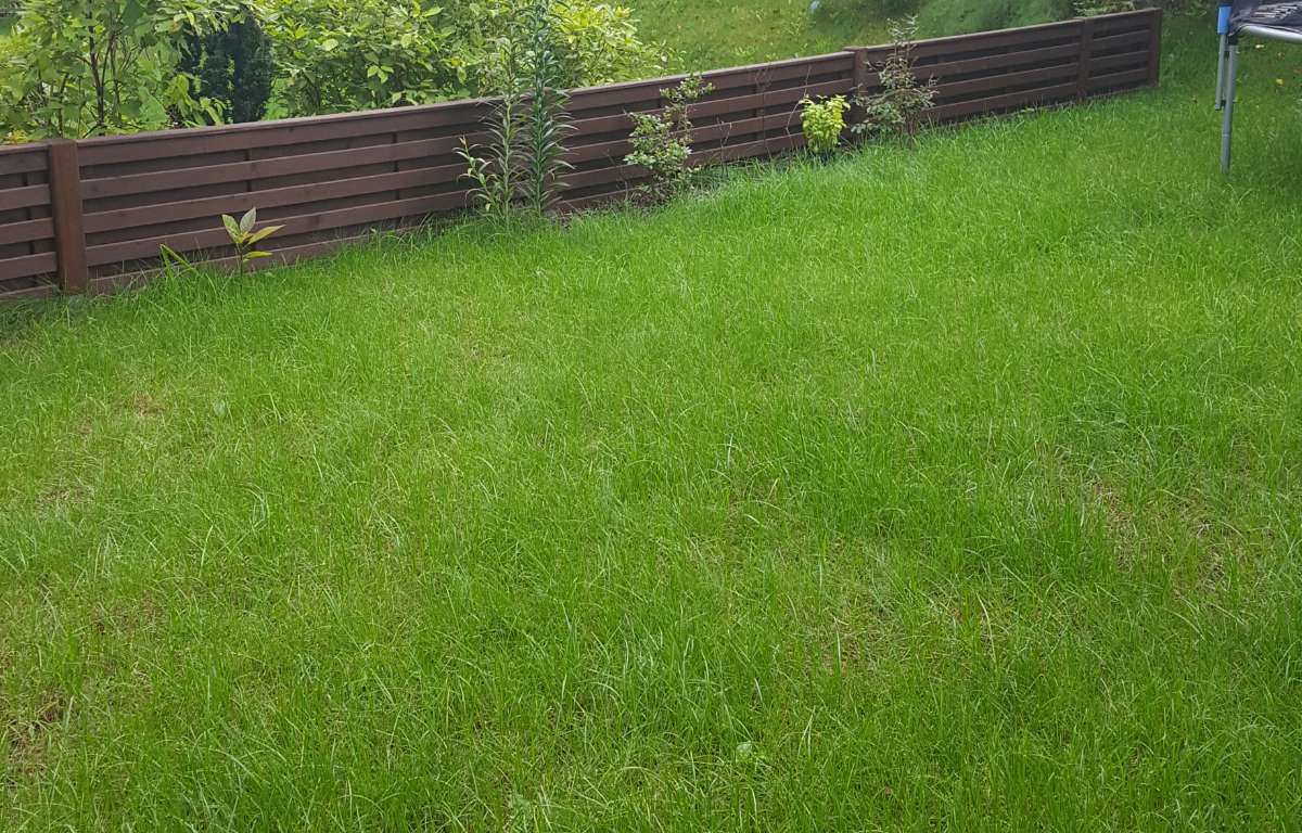 Apartment for rent, Warszawa, Wilanów, 66.0 sqm, 5900.0 PLN