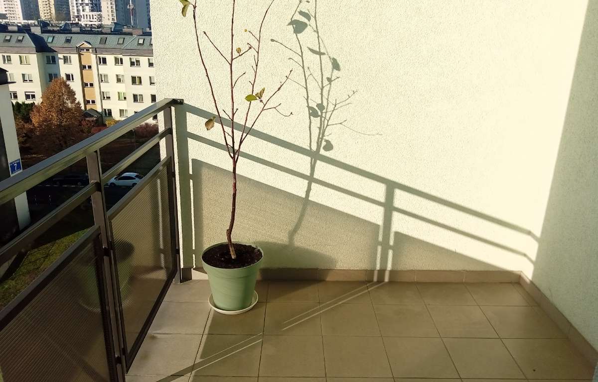 Mieszkanie do wynajęcia, Warszawa, Bielany, 37.0 m2, 3200.0 PLN