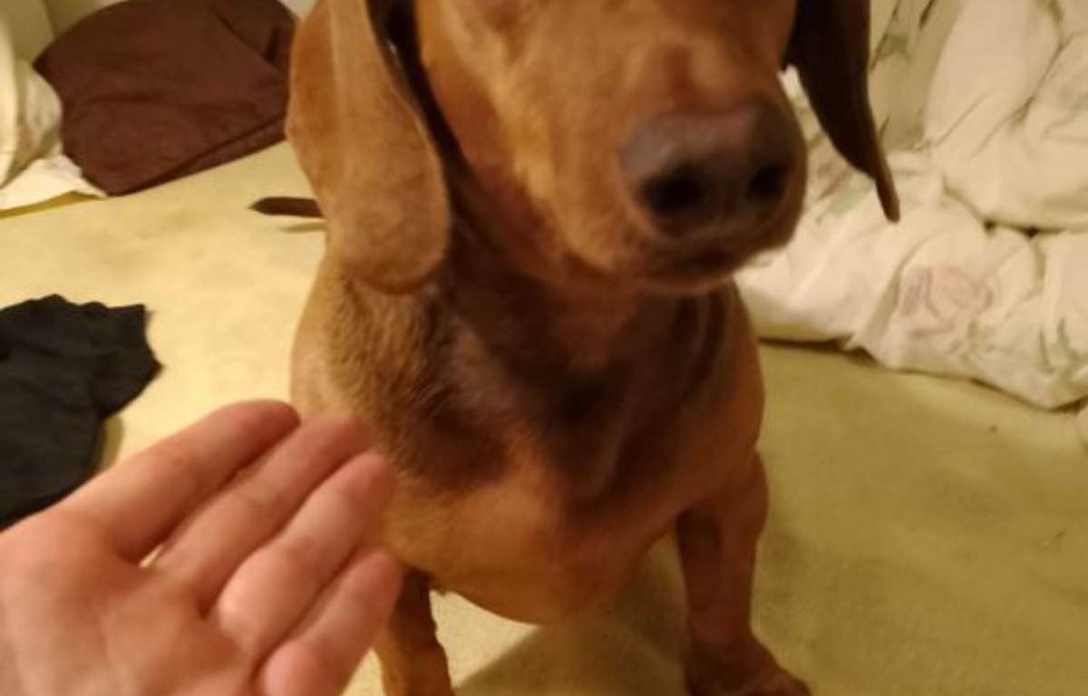 Pokój do wynajęcia, Warszawa, Mokotów, 12.0 m2, 1500.0 PLN