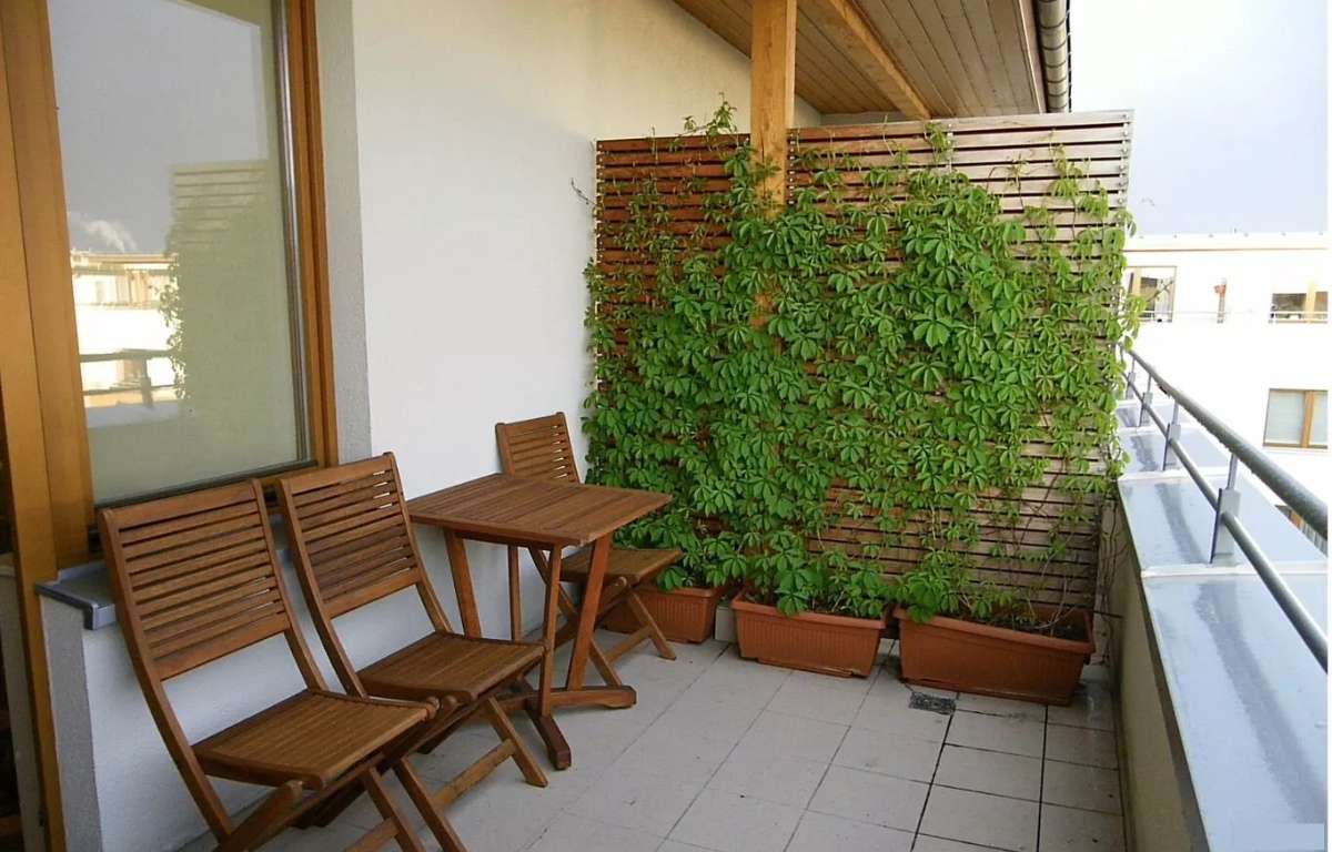 Mieszkanie do wynajęcia, Szczecin, 50.0 m2, 2400.0 PLN