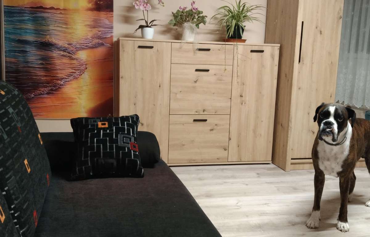 Pokój do wynajęcia, Kraków, 20.0 m2, 1500.0 PLN