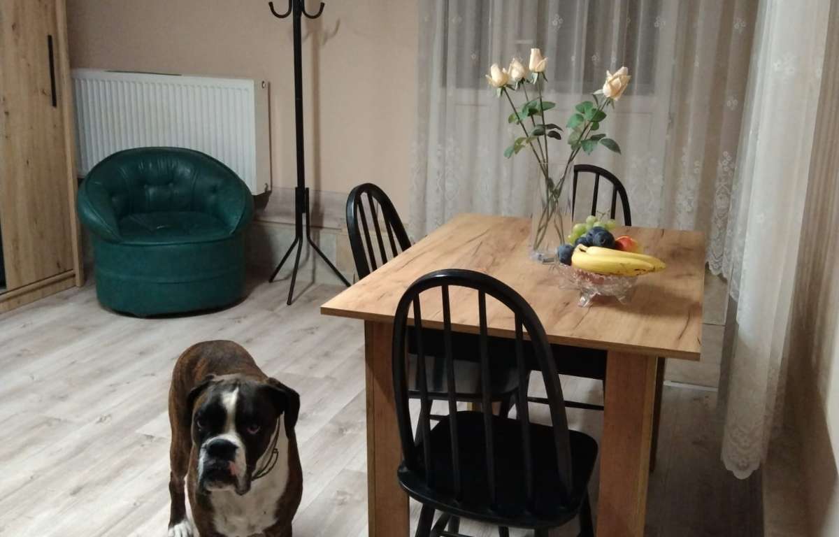 Pokój do wynajęcia, Kraków, 20.0 m2, 1500.0 PLN