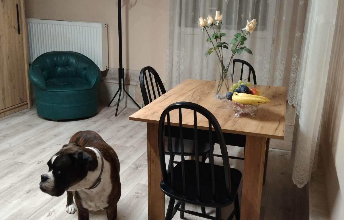 Pokój do wynajęcia, Kraków, 20.0 m2, 1500.0 PLN