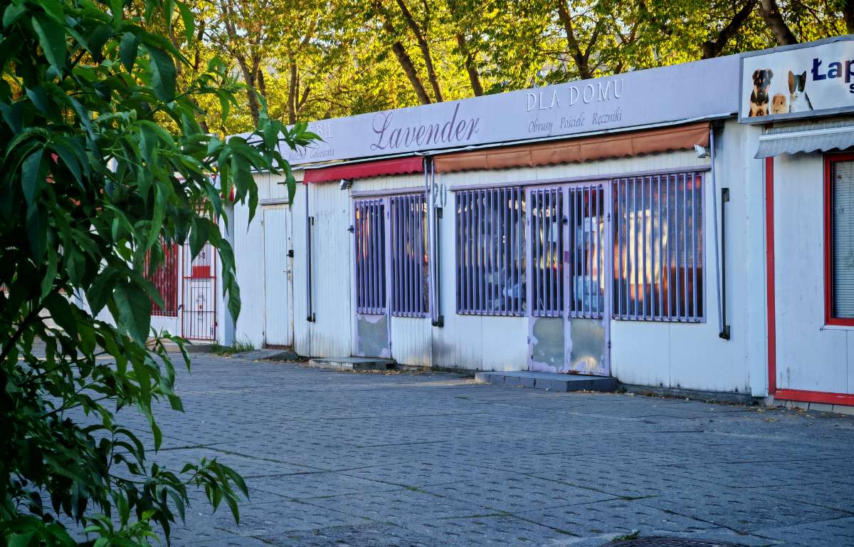Lokal użytkowy do wynajęcia, Poznań, 74.0 m2