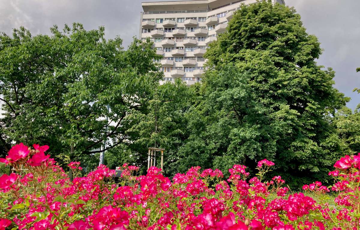 Mieszkanie do wynajęcia, Warszawa, Śródmieście, 33.0 m2, 3750.0 PLN