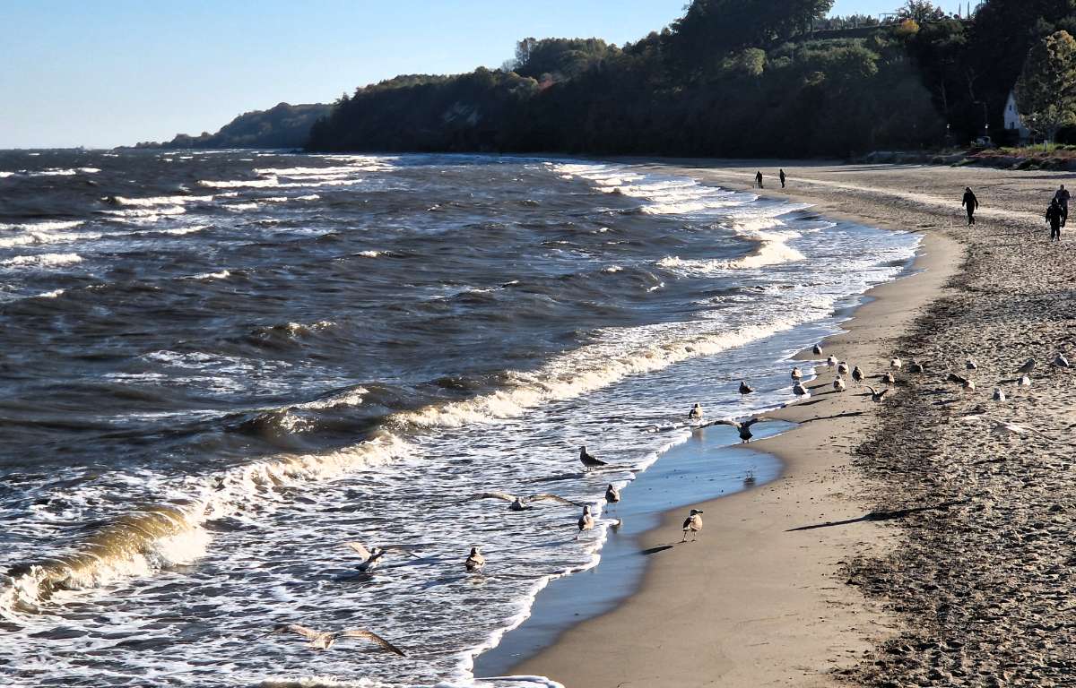 Apartment for rent, Mechelinki, 47.0 sqm