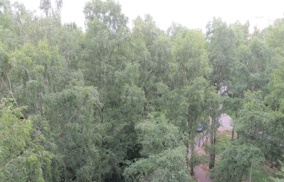 Mieszkanie do wynajęcia, Łódź, Widzew, 46.0 m2, 2100.0 PLN