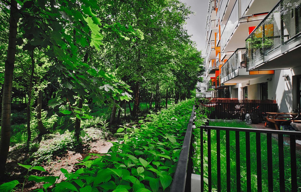 Apartment for rent, Warszawa, Żoliborz, 59.0 sqm, 5500.0 PLN