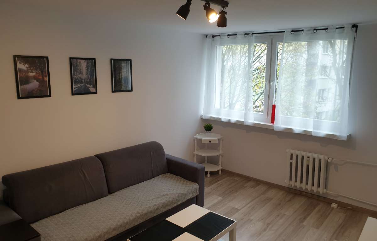 Mieszkanie do wynajęcia, Łódź, Widzew, 27.0 m2, 2000.0 PLN