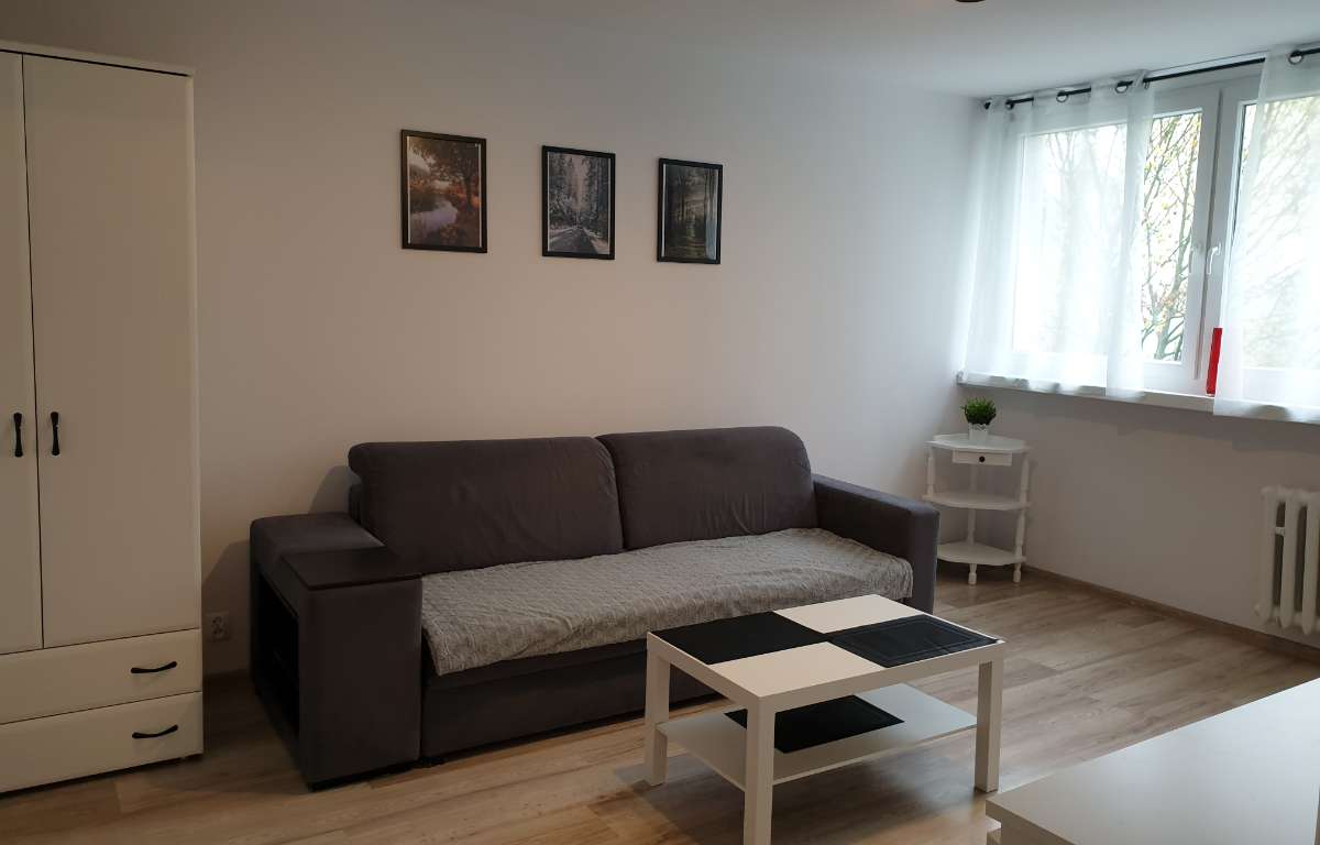 Mieszkanie do wynajęcia, Łódź, Widzew, 27.0 m2, 2000.0 PLN
