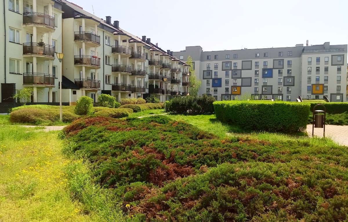 Apartment for rent, Warszawa, Bielany, 37.0 sqm, 3300.0 PLN