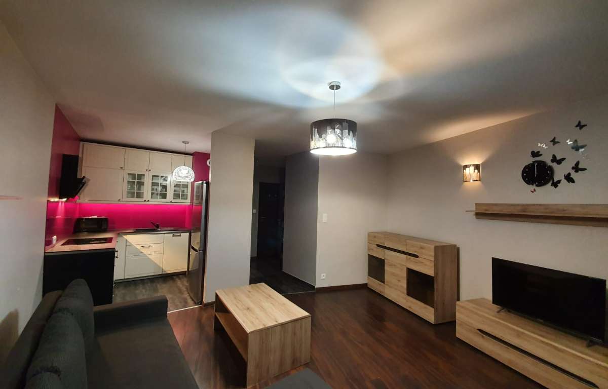 Apartment for rent, Kraków, Dębniki, 46.0 sqm, 3000.0 PLN