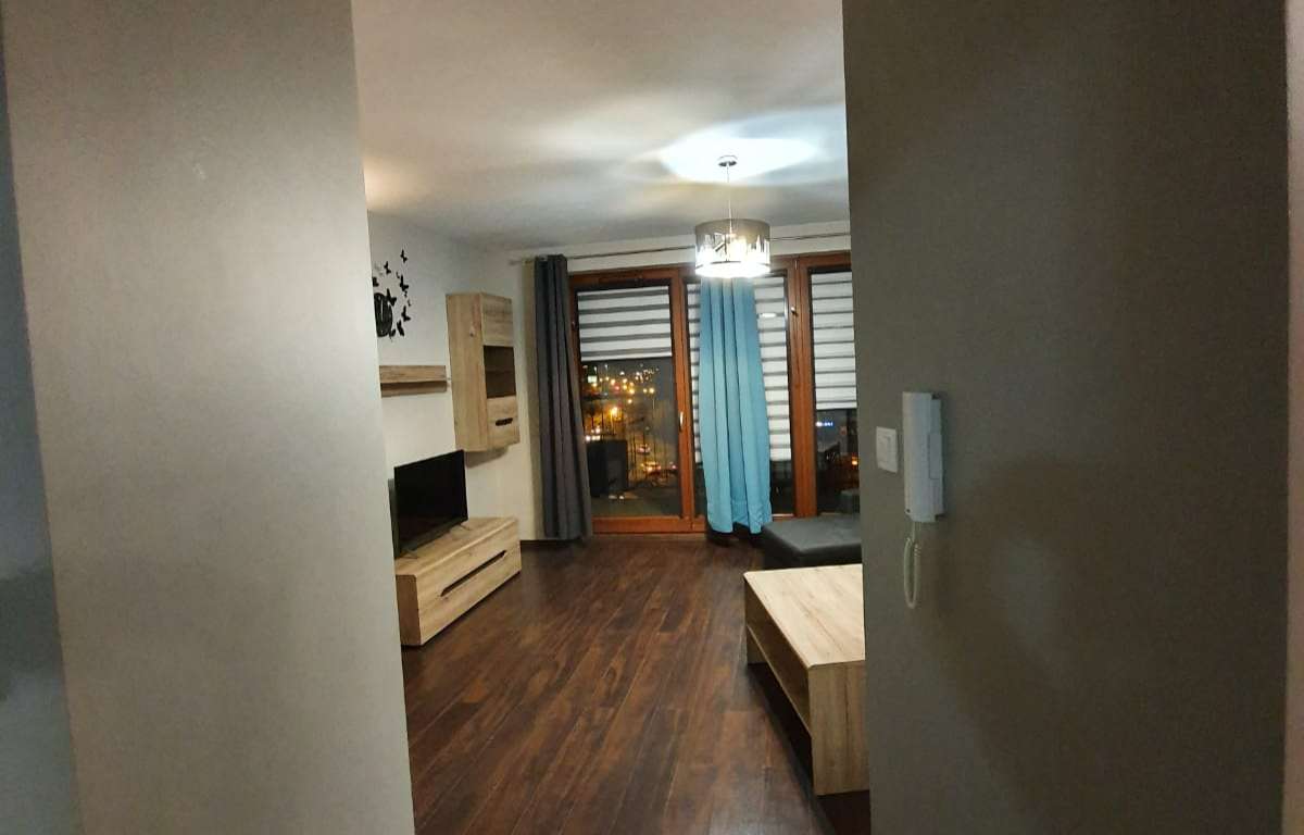 Apartment for rent, Kraków, Dębniki, 46.0 sqm, 3000.0 PLN